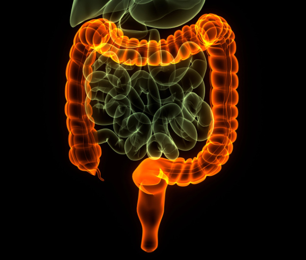 Parkinson’s disease gut health