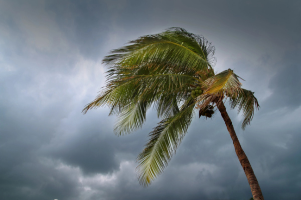 hurricane preparedness for seniors